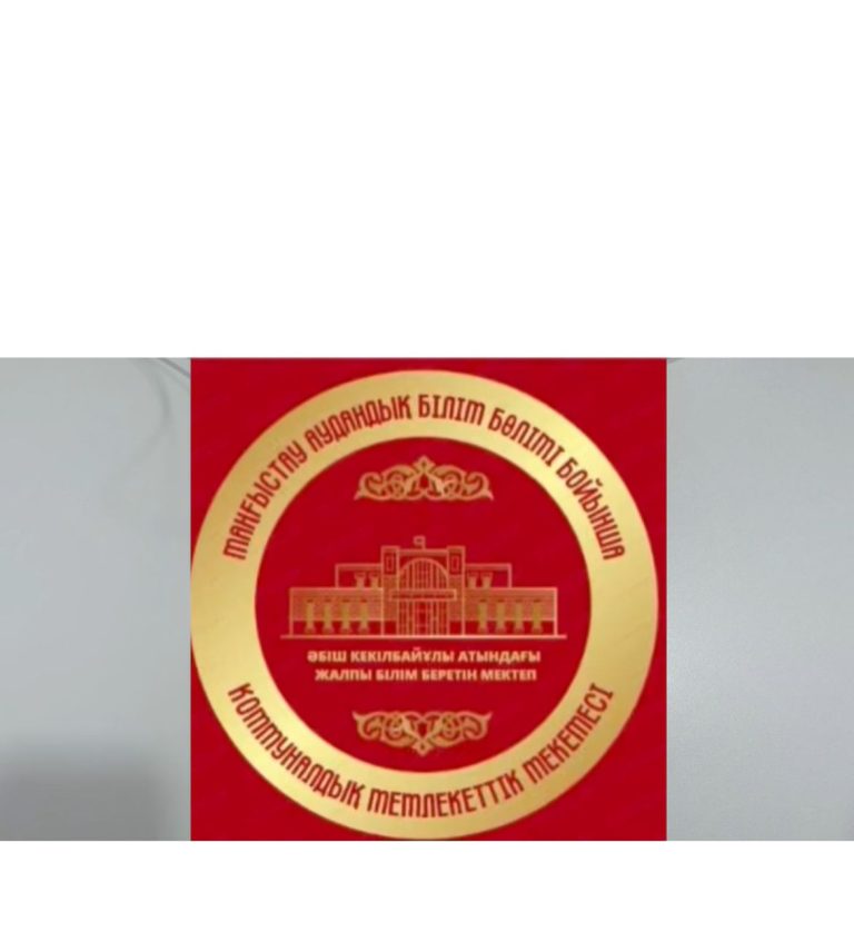 WhatsApp Image 2026-02-12 at 16.18.39