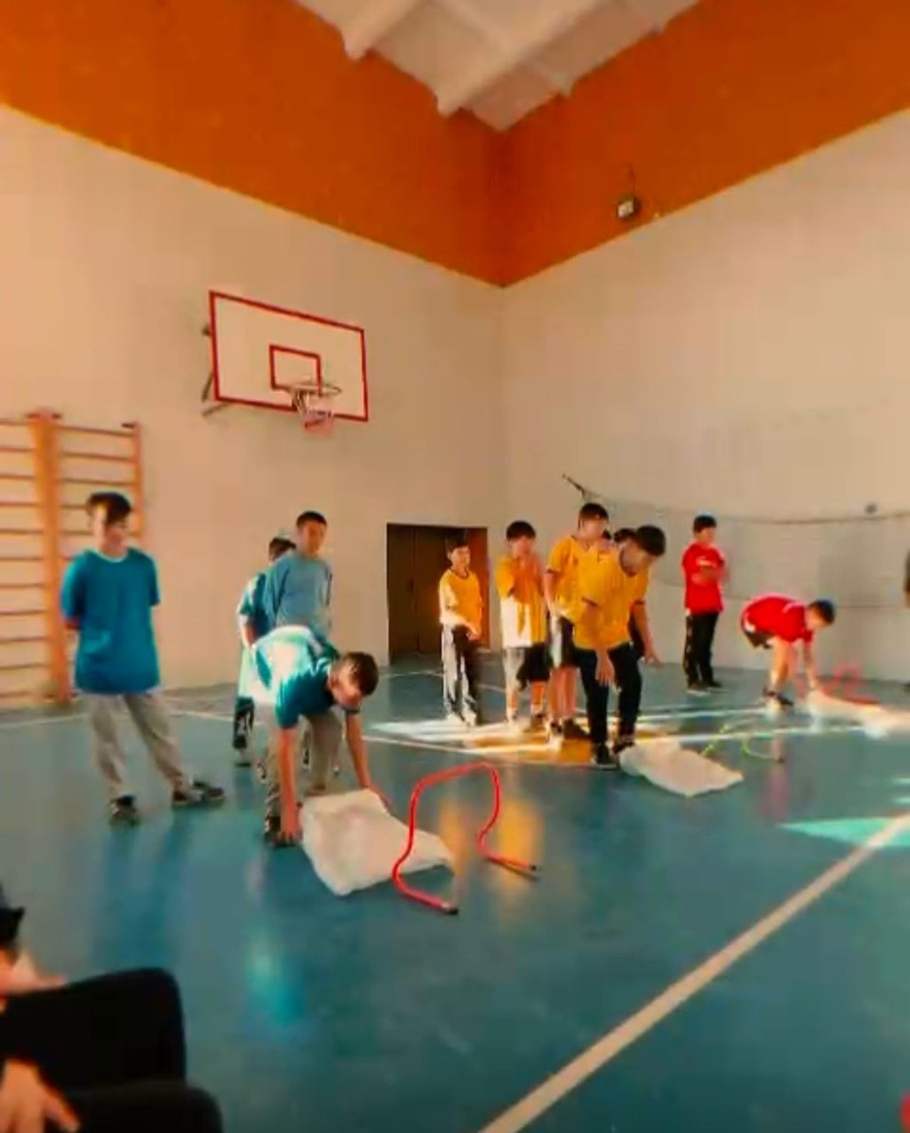 WhatsApp Image 2026-02-13 at 11.47.50