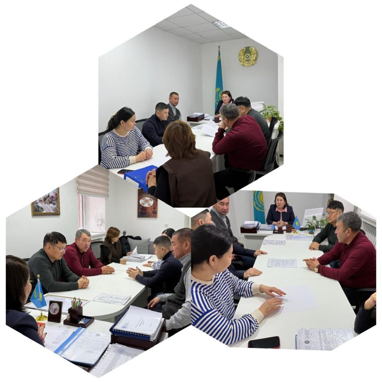 WhatsApp Image 2026-02-13 at 16.36.13