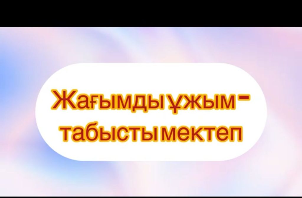 WhatsApp Image 2026-02-13 at 17.41.40