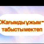 WhatsApp Image 2026-02-13 at 17.41.40