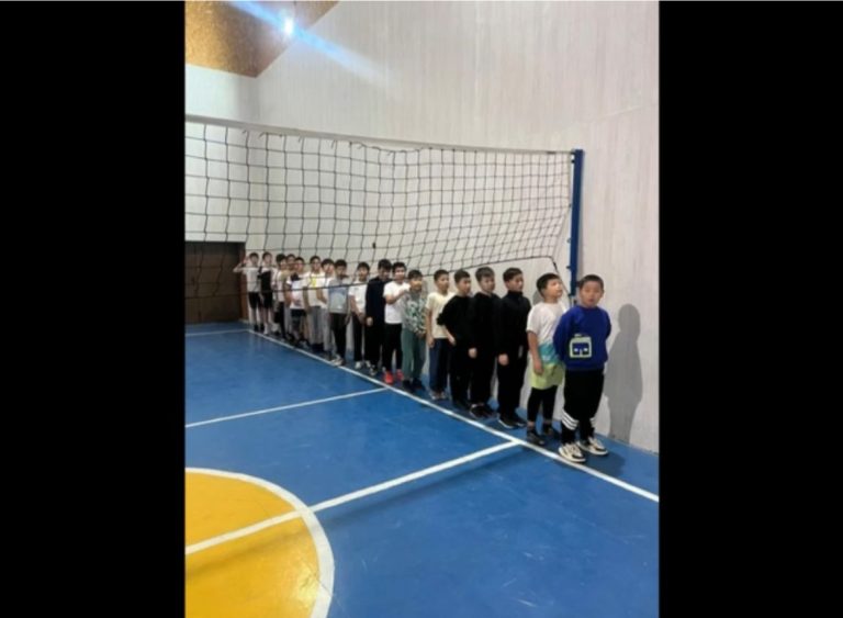 WhatsApp Image 2026-02-17 at 11.43.31