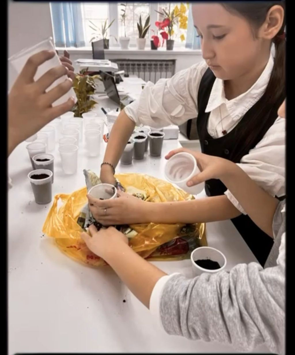 WhatsApp Image 2026-02-17 at 12.01.28