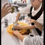 WhatsApp Image 2026-02-17 at 12.01.28