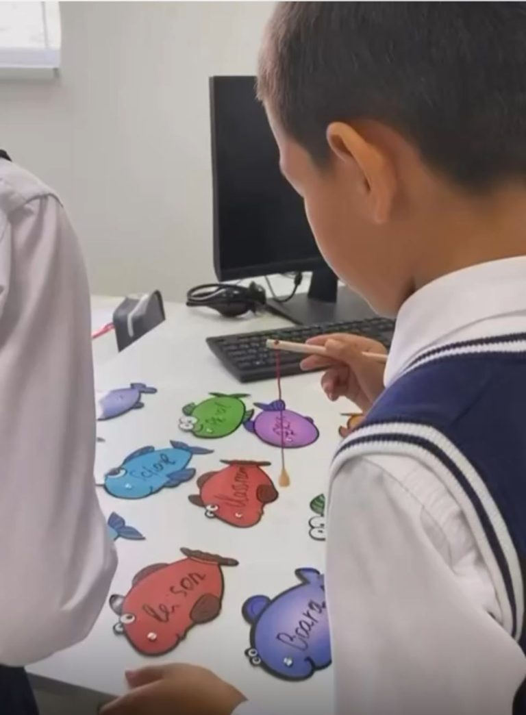 WhatsApp Image 2026-02-17 at 12.47.23