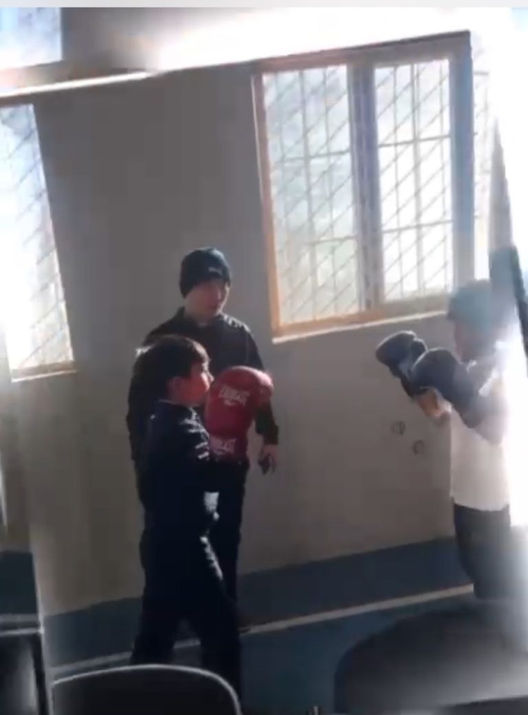 WhatsApp Image 2026-02-17 at 12.49.52